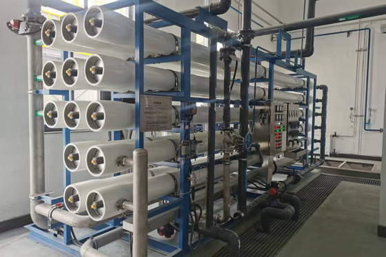 Industrie-Einstufen-RO-System Wasserfilter Nahrungsmittel- und Pharmaindustrie