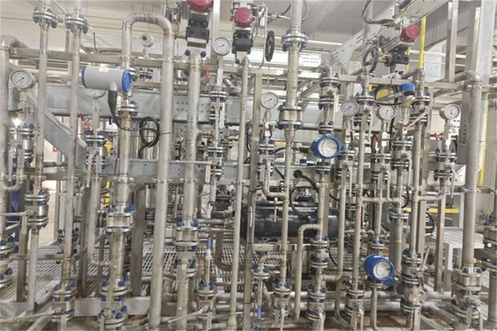 Industrielle Ultrareinwasseranlagen Elektrodeionisierung EDI-Wasserreinigungssystem